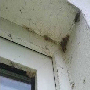 Spiders in Window Reveal needing clean