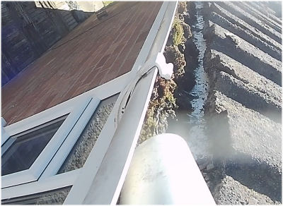 Gutter Before Clearing