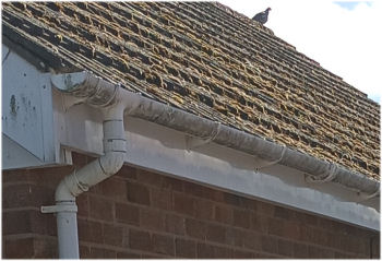 Gutter, fascias, and soffits  Before Clearing